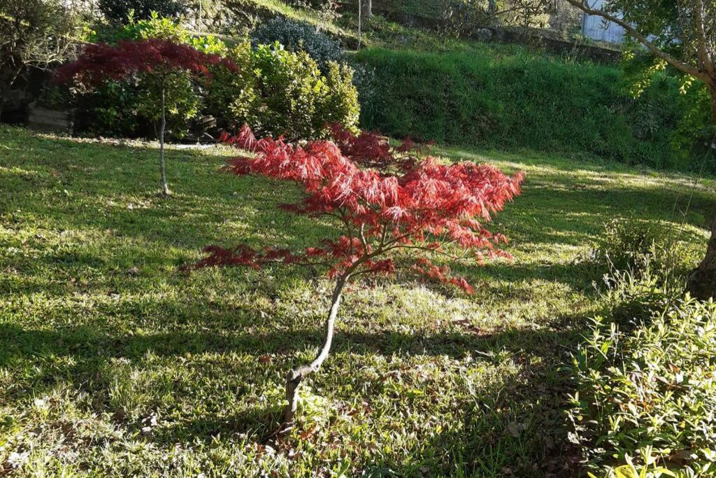 Appartamento Cavado'S Heights Braga Esterno foto